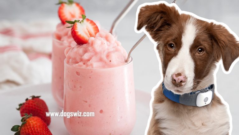 can-dogs-eat-strawberry-yogurt-3-ways-you-can-safely-feed-strawberry